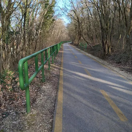 Marti-lak *