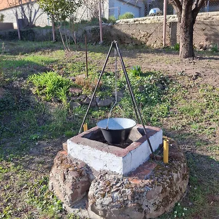 Marti-lak