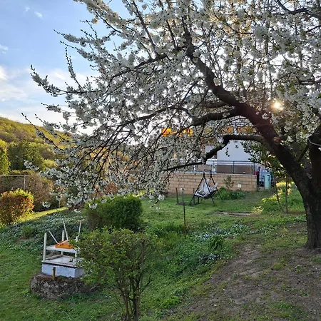 Marti-lak Holiday home